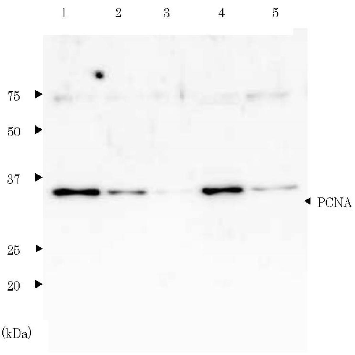 /Content/Upload/Product/10-151_fig3_1200.jpg