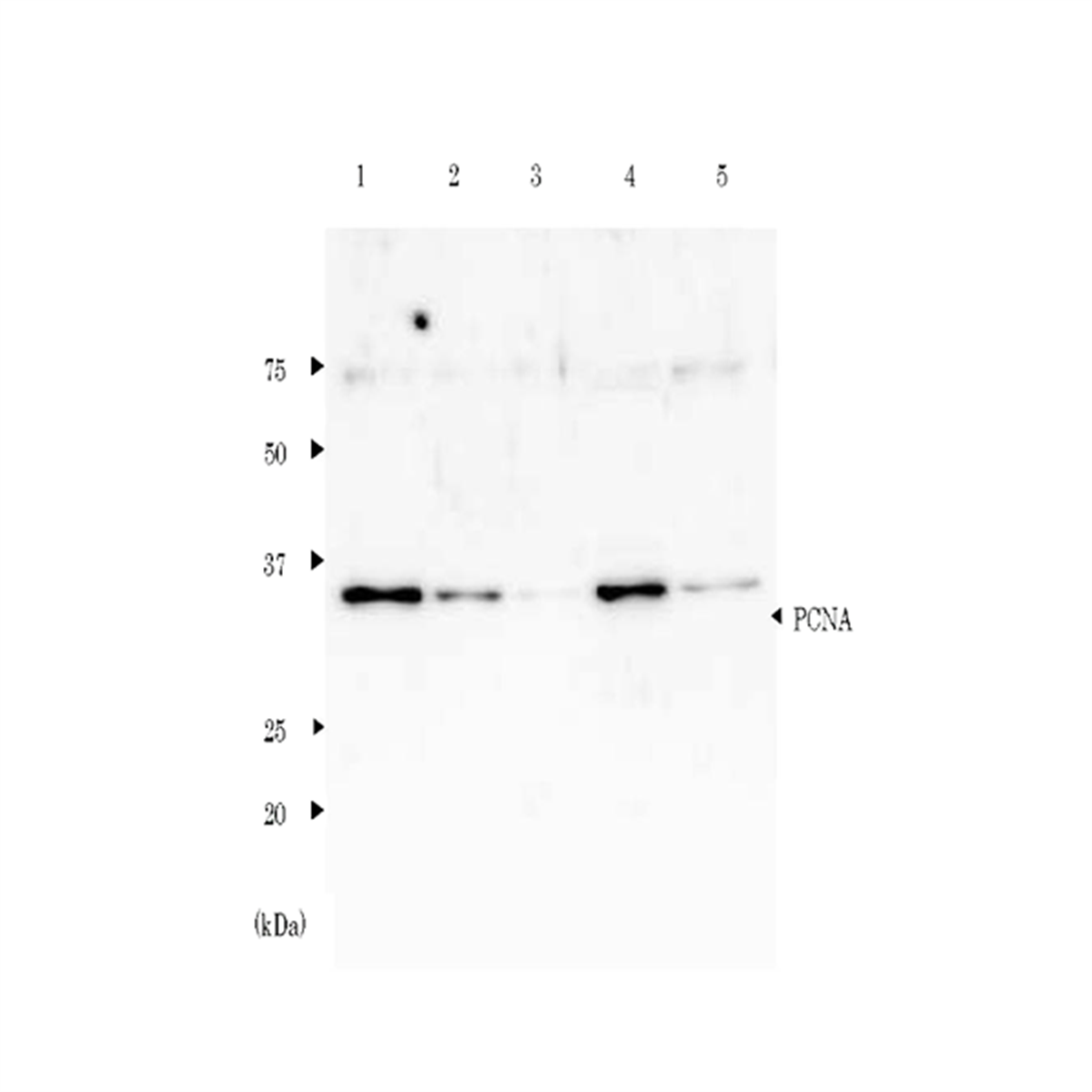 /Content/Upload/Product/10-15_fig1_1200.png