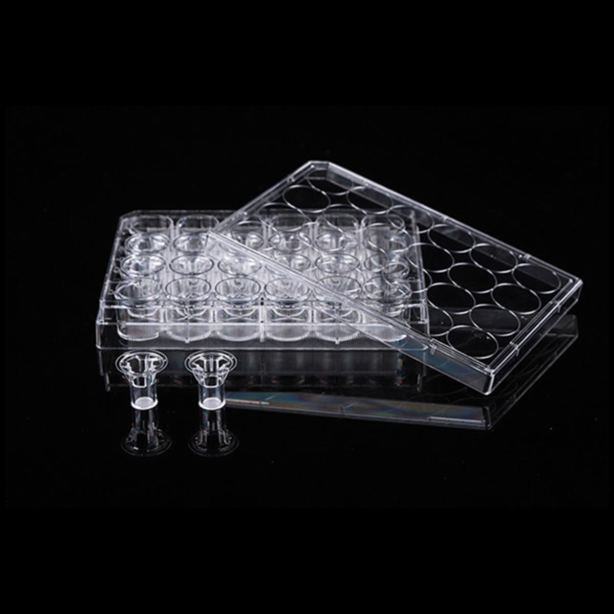 /Content/Upload/Product/12-Cell-Culture-Inserts-24-Well-Plate_2-pieace-dishes_-w600_Diagnocine_1200_12.jpg