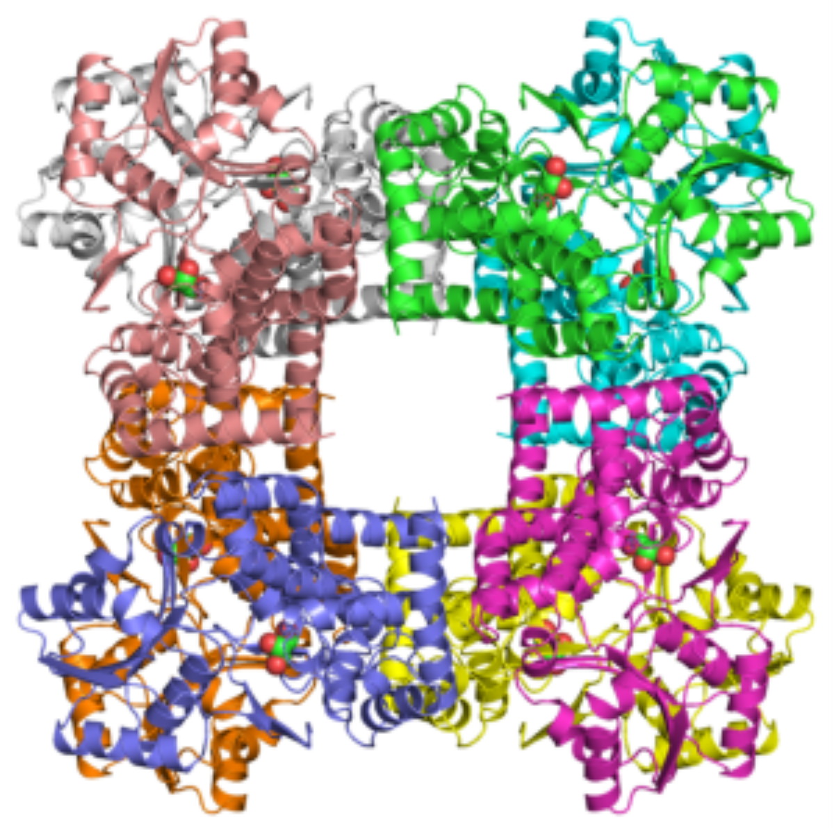 /Content/Upload/Product/1jqa_assembly_1200.png