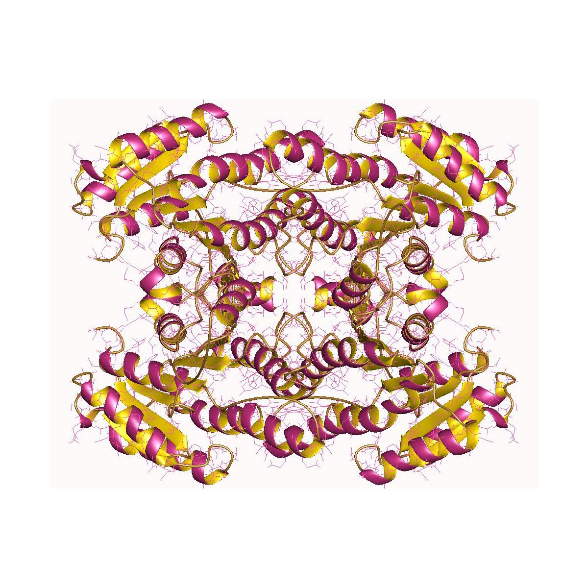 /Content/Upload/Product/1spx_1200_1.jpg