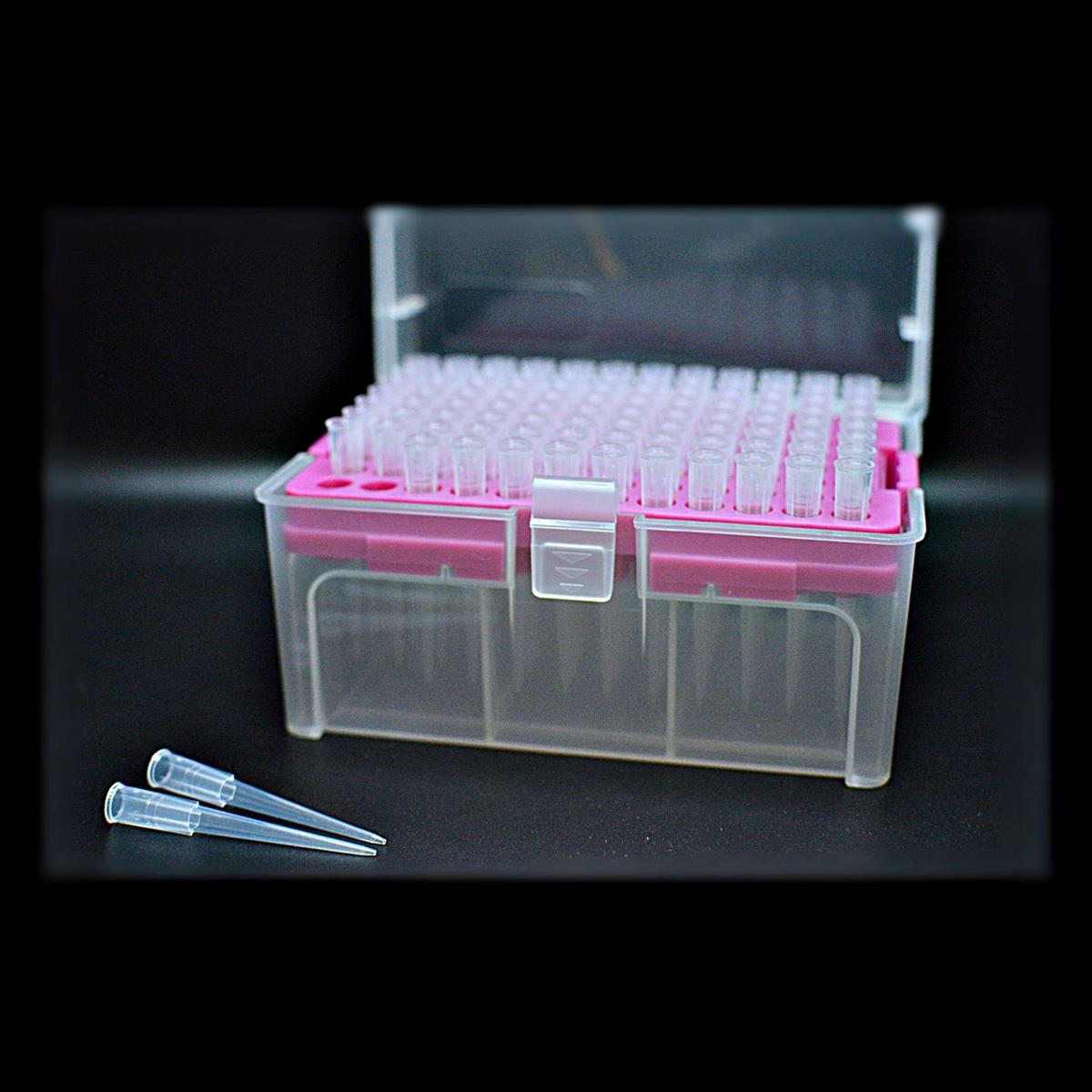 /Content/Upload/Product/200ulLBPipetteTipNon-FilteredRackandTip_1200_1200.jpg