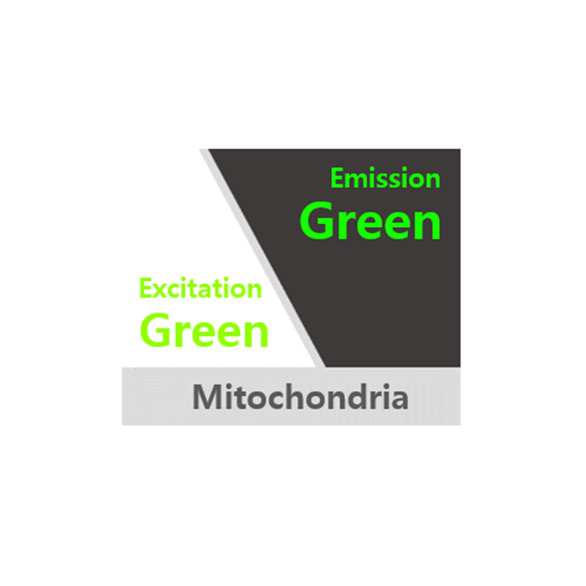 /Content/Upload/Product/20190319110354-F1_1200.png