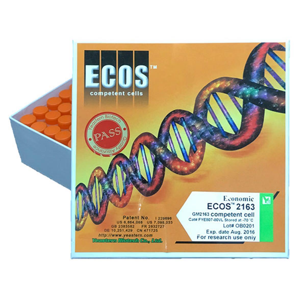 /Content/Upload/Product/2163-Competent-Cells_GM2163_FYE807_600x600_Diagnocine_1200_1200_1200.jpg