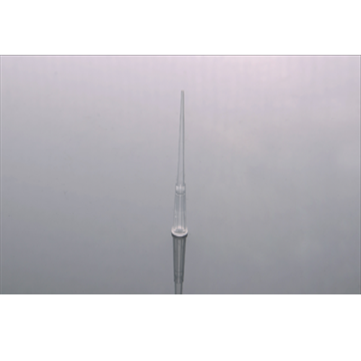 /Content/Upload/Product/305001_900_1200_1200.png
