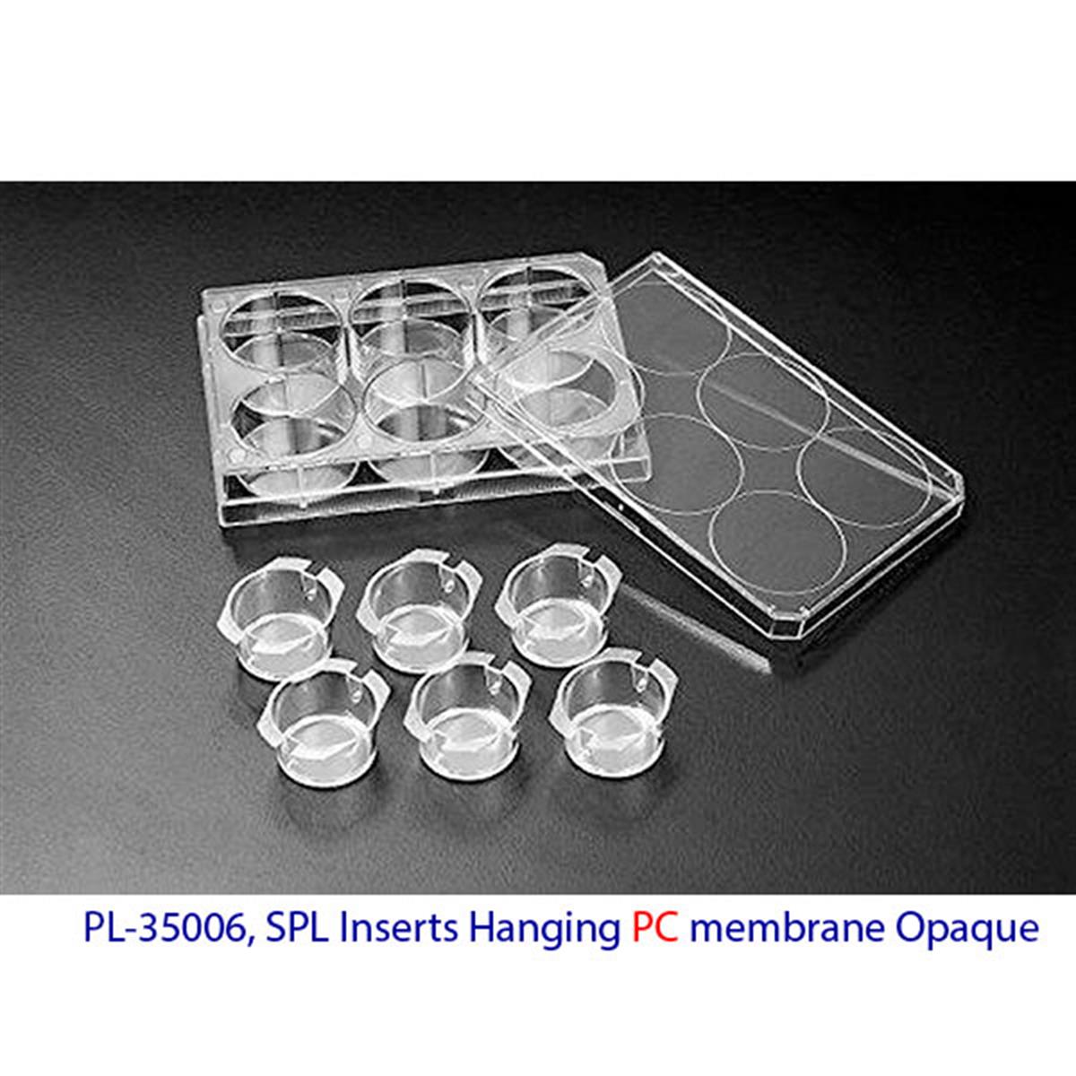 /Content/Upload/Product/35006-SPL-Inserts-Hanging-PC-membrane-Opaque-24-mm-diameter_1200.jpg