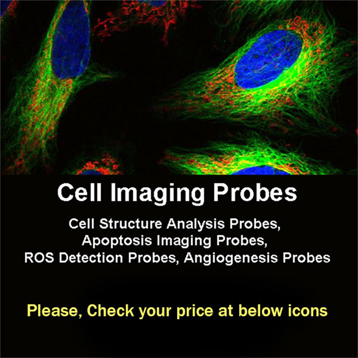 /Content/Upload/Product/4-CellImagingProbe_600x600_Diagnocine_1200.jpg