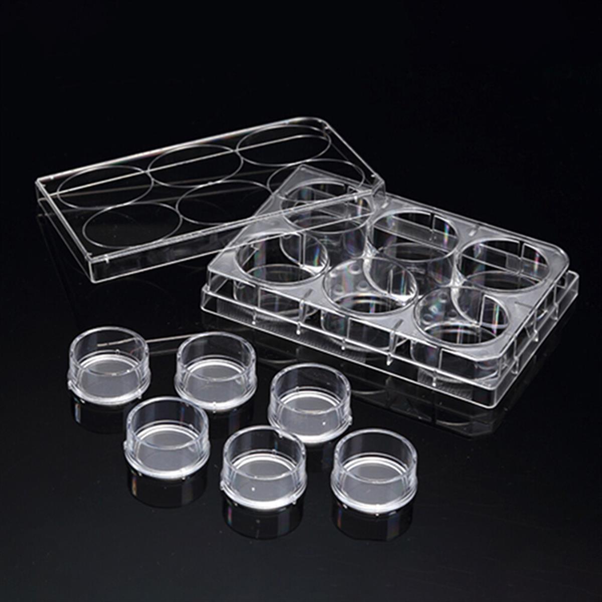 /Content/Upload/Product/6-Cell-Culture-Inserts-6-Well-Plate_w600_Diagnocine_1200_5.jpg