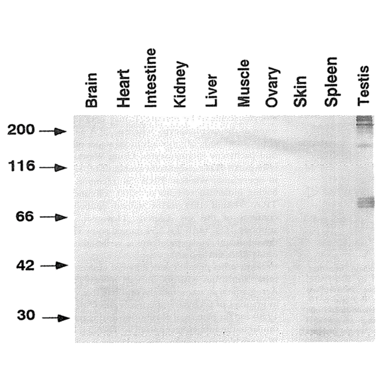 /Content/Upload/Product/73-002_fig3_1200.png