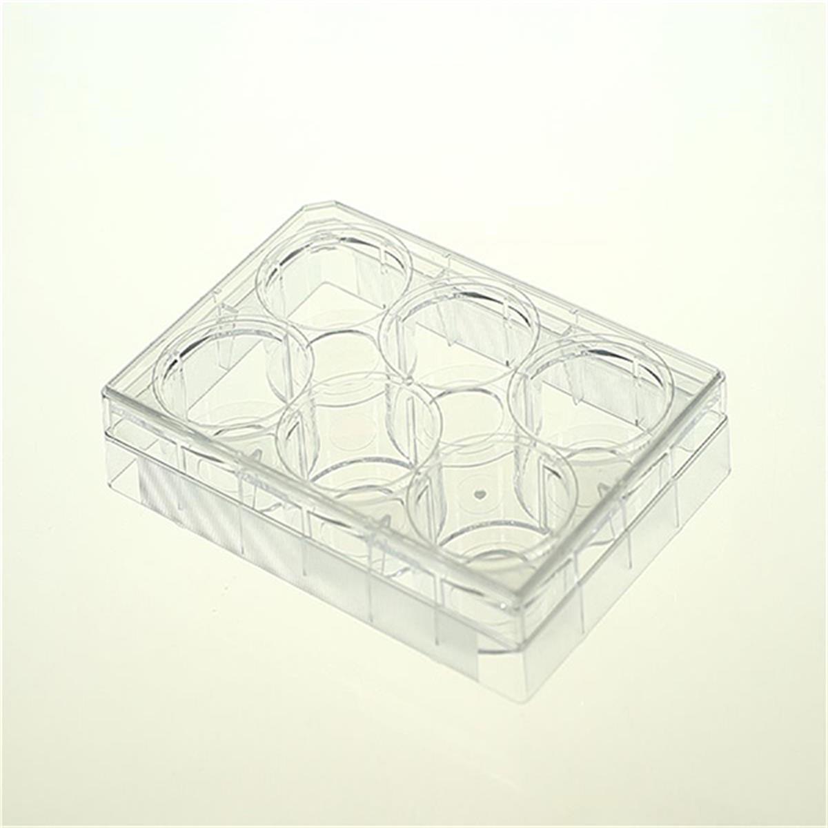 /Content/Upload/Product/801004_NST-801004_6-Well-Glass-Bottom-Cell-Culture-Plate_w600_Diagnocine_1200.jpg