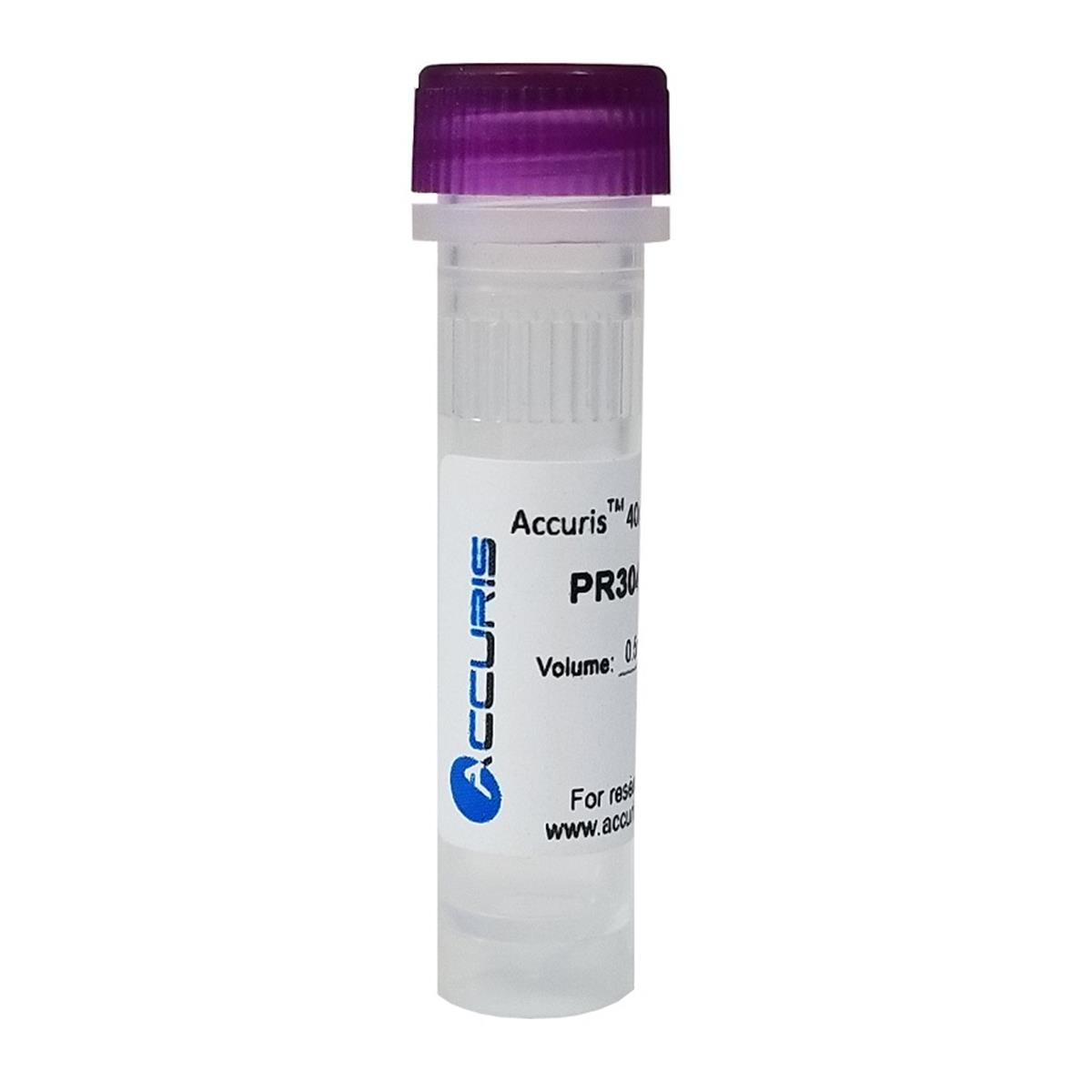 /Content/Upload/Product/Accuris-dNTP-Mix-sq_1200.jpg