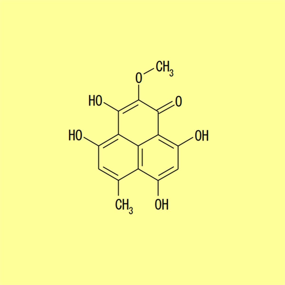 /Content/Upload/Product/BLK-0690_1200_1200_2.jpg