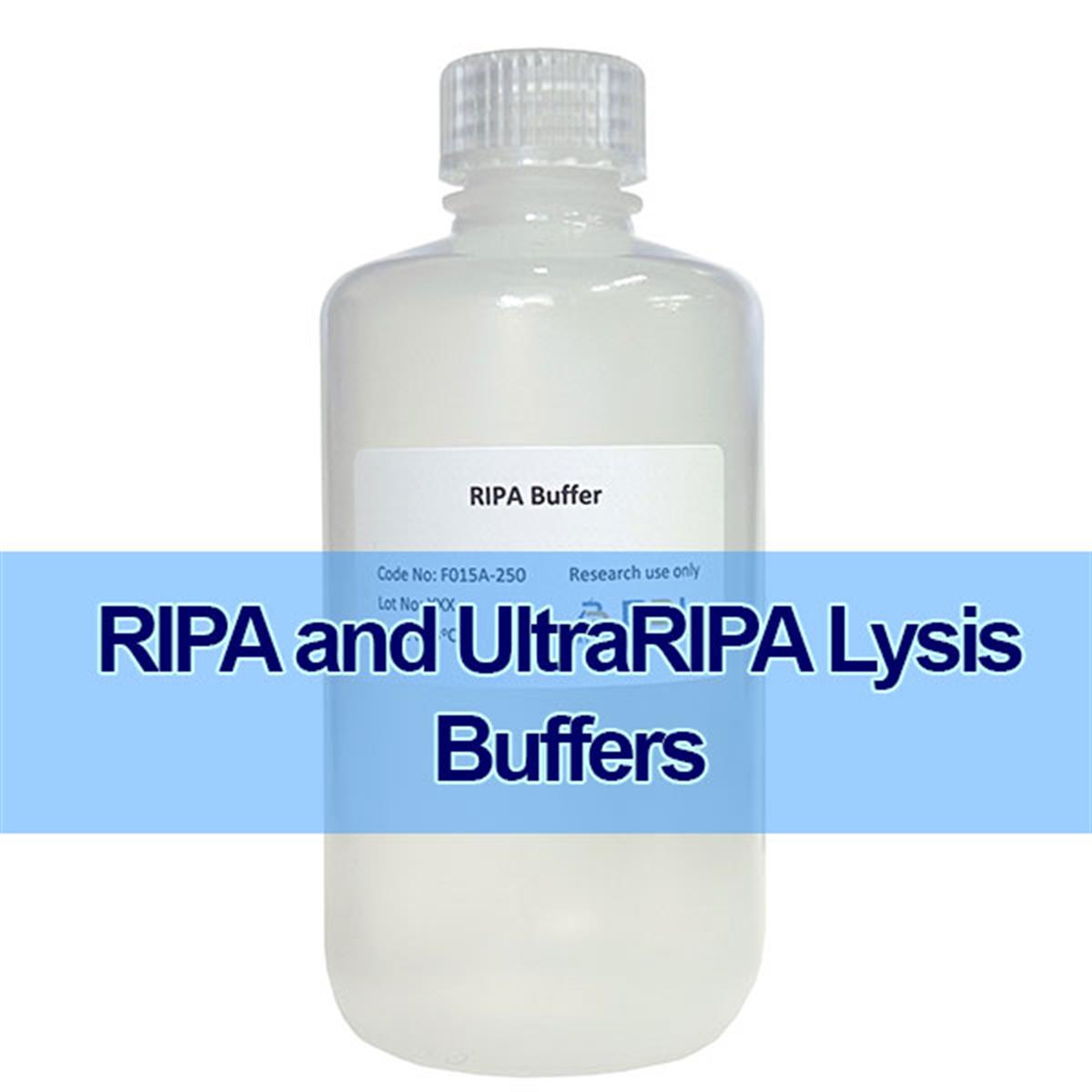 /Content/Upload/Product/Buffers-RIPA-UltraRIPA-LysisBuffers-Diagnocine_1200.jpg