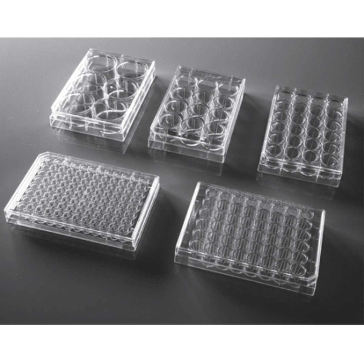 /Content/Upload/Product/Cell_Culture_Plates_fig1_1200_1200_11.png