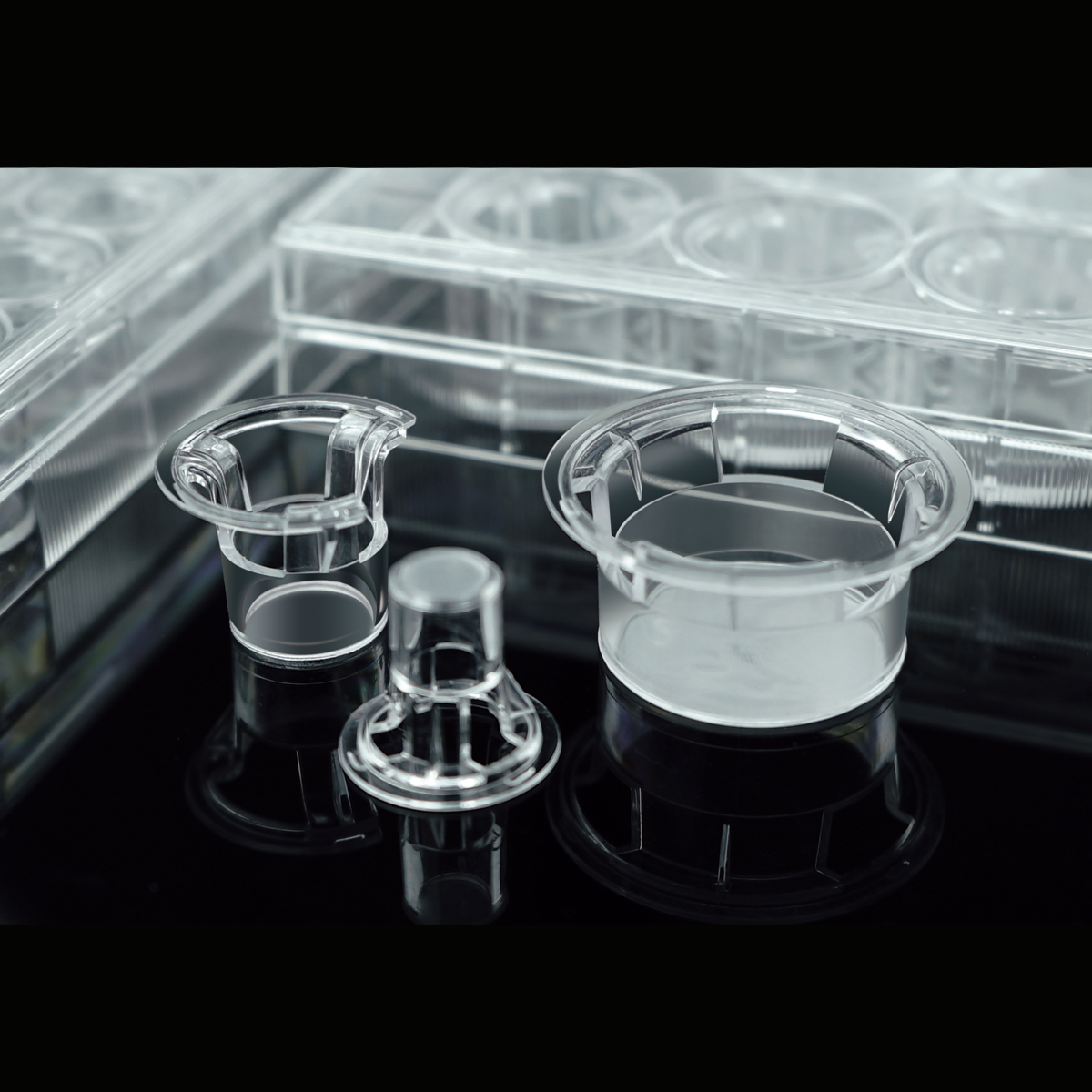/Content/Upload/Product/Cell_insert_1_1200_1_1200_1200_7_1200_6.png