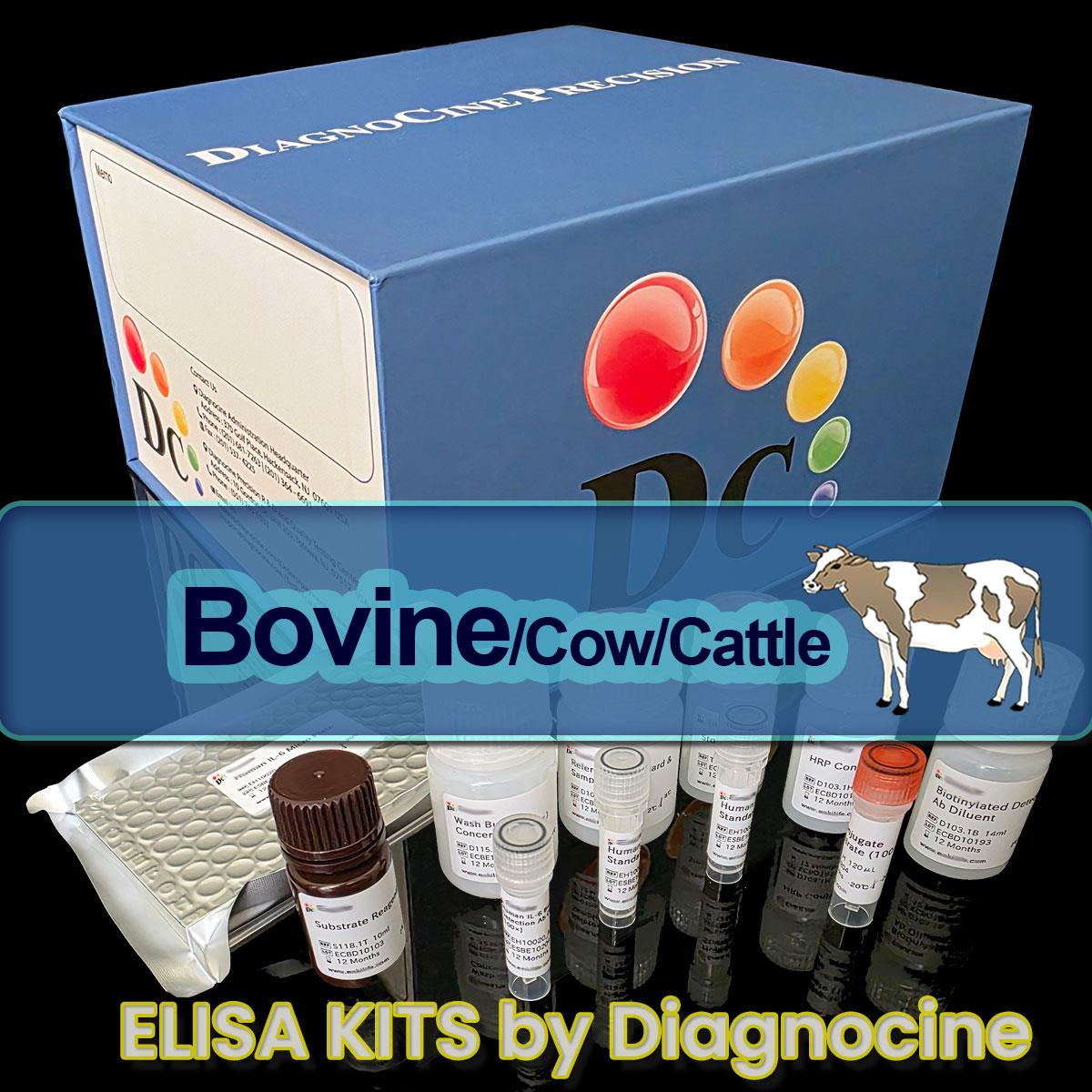 /Content/Upload/Product/Cow_ELISA_kits_Diagnocine_1200(832).jpg