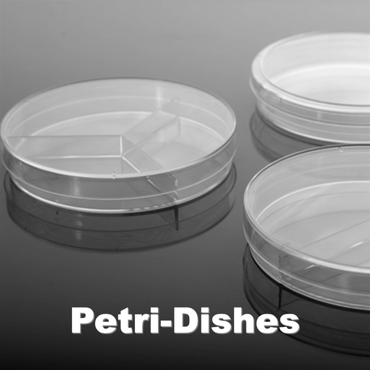 /Content/Upload/Product/DC-Dish-Plate-2_1200.jpg