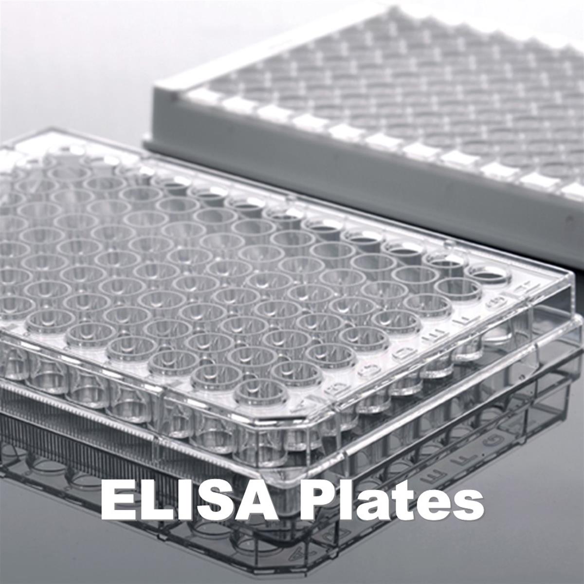 /Content/Upload/Product/DC-Dish-Plate-5_1200.jpg