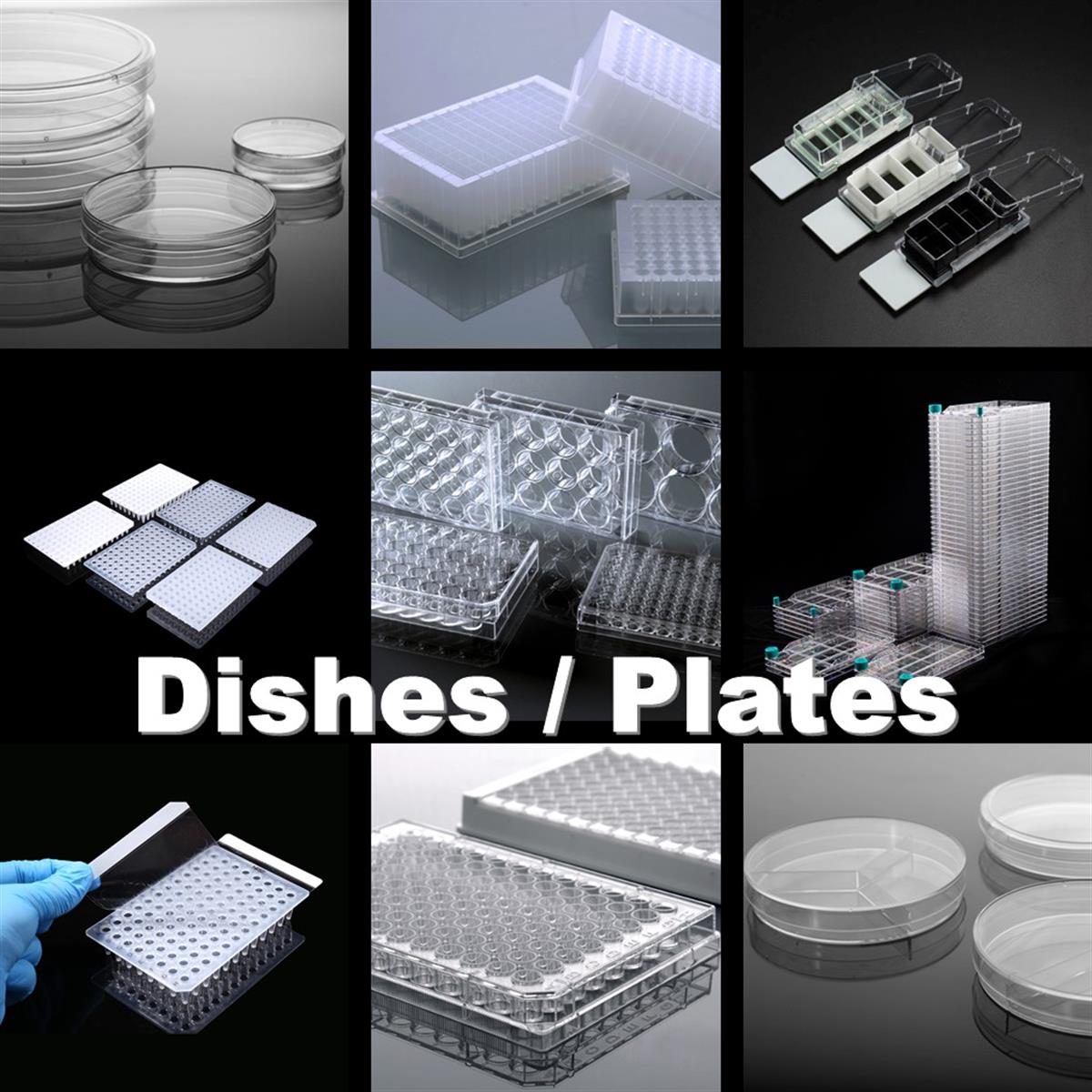 /Content/Upload/Product/DC-Dish-Plate_1200.jpg
