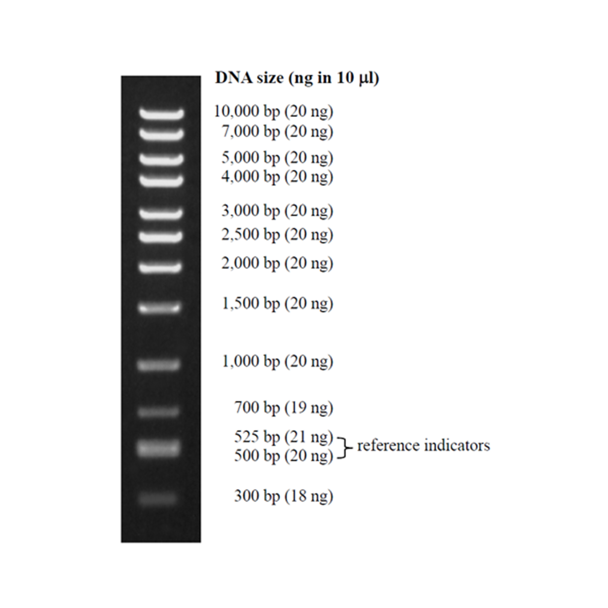 /Content/Upload/Product/DM122_1200.png