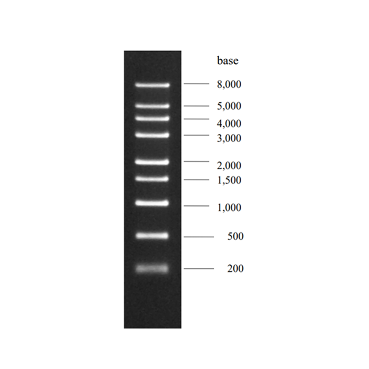 /Content/Upload/Product/DM160_1200.png