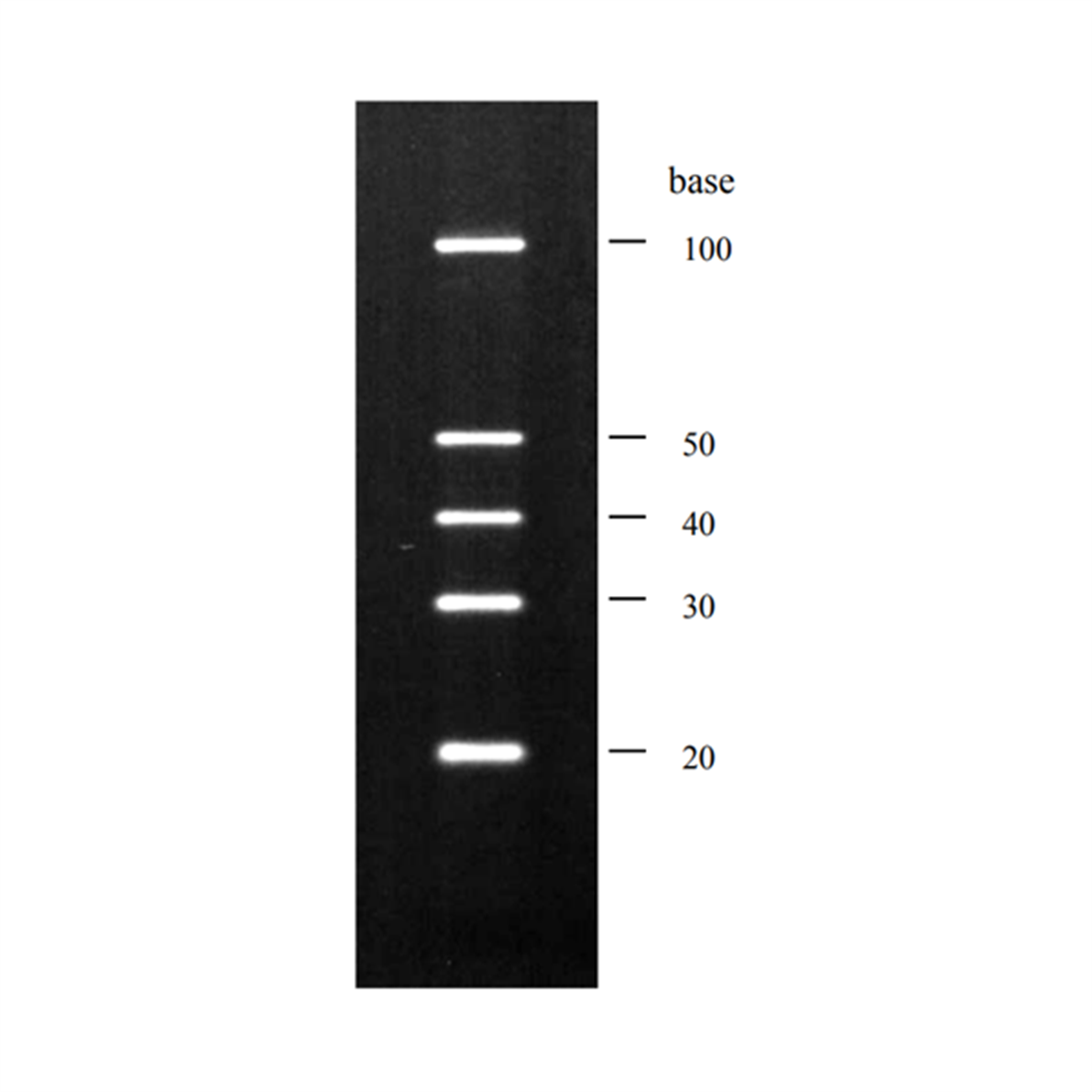 /Content/Upload/Product/DM192_1200_1.png
