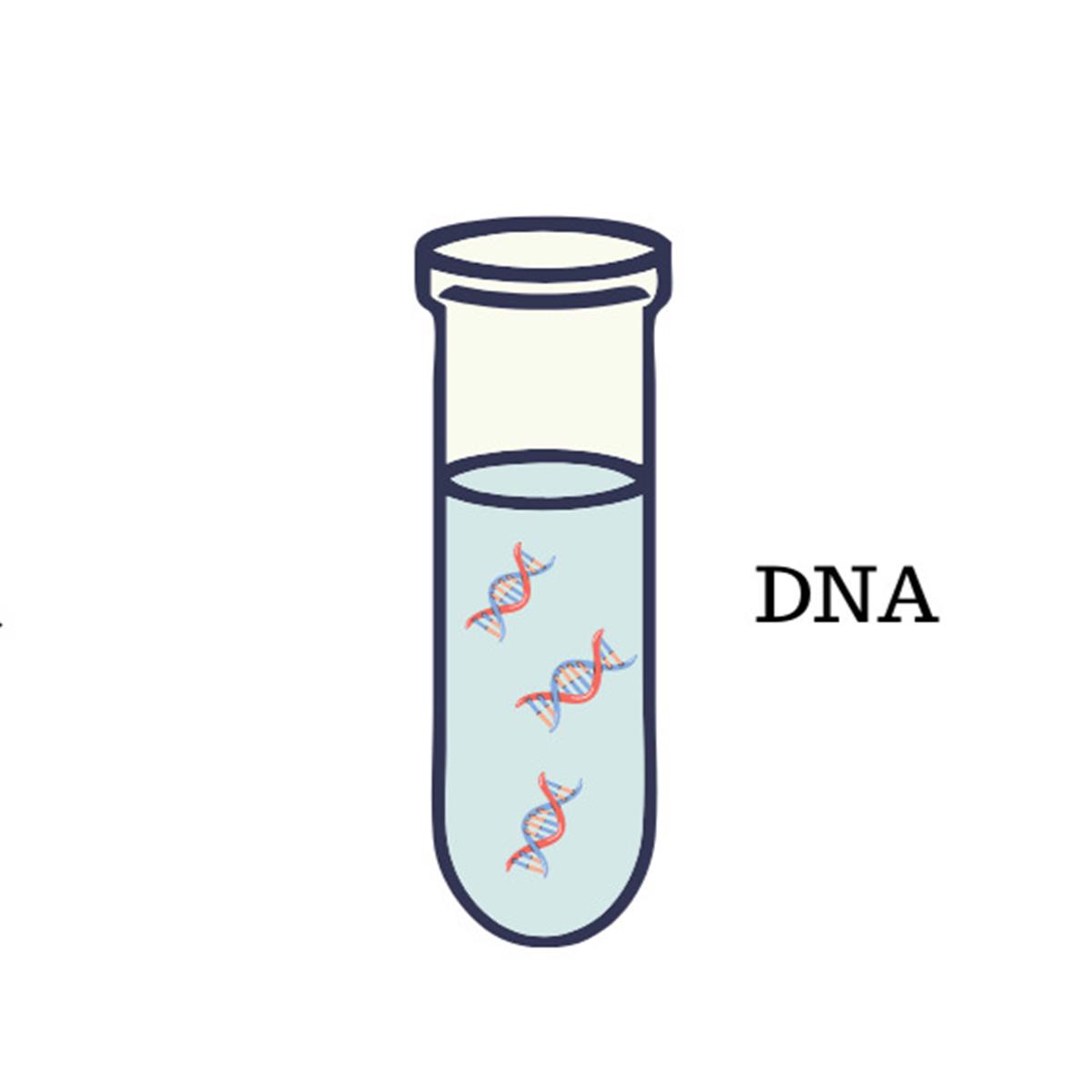 /Content/Upload/Product/DNA-Purification_1200.jpg