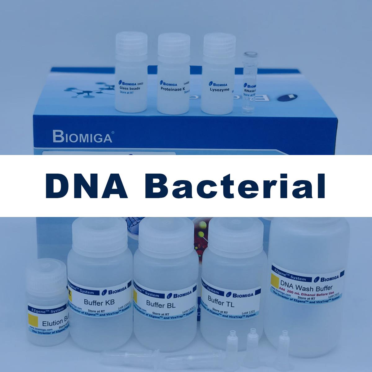 /Content/Upload/Product/DNA_Bacterial_Diagnocine_1200.jpg