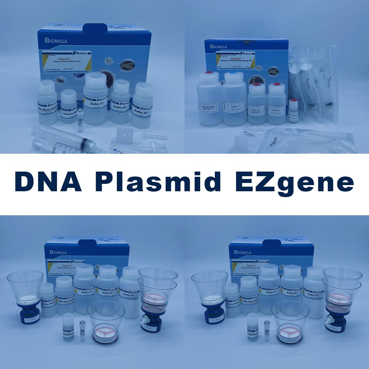 /Content/Upload/Product/DNA_Plasmid_EZgene_1200_1.jpg