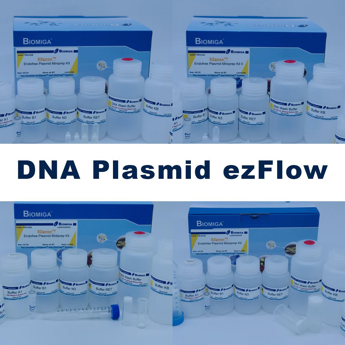 /Content/Upload/Product/DNA_Plasmid_ezFlow_1200.jpg