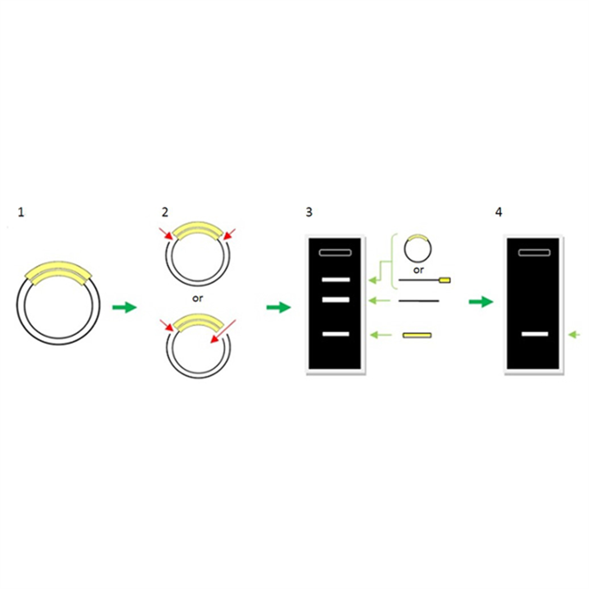 /Content/Upload/Product/DS615_Fig1_1200_1200.png
