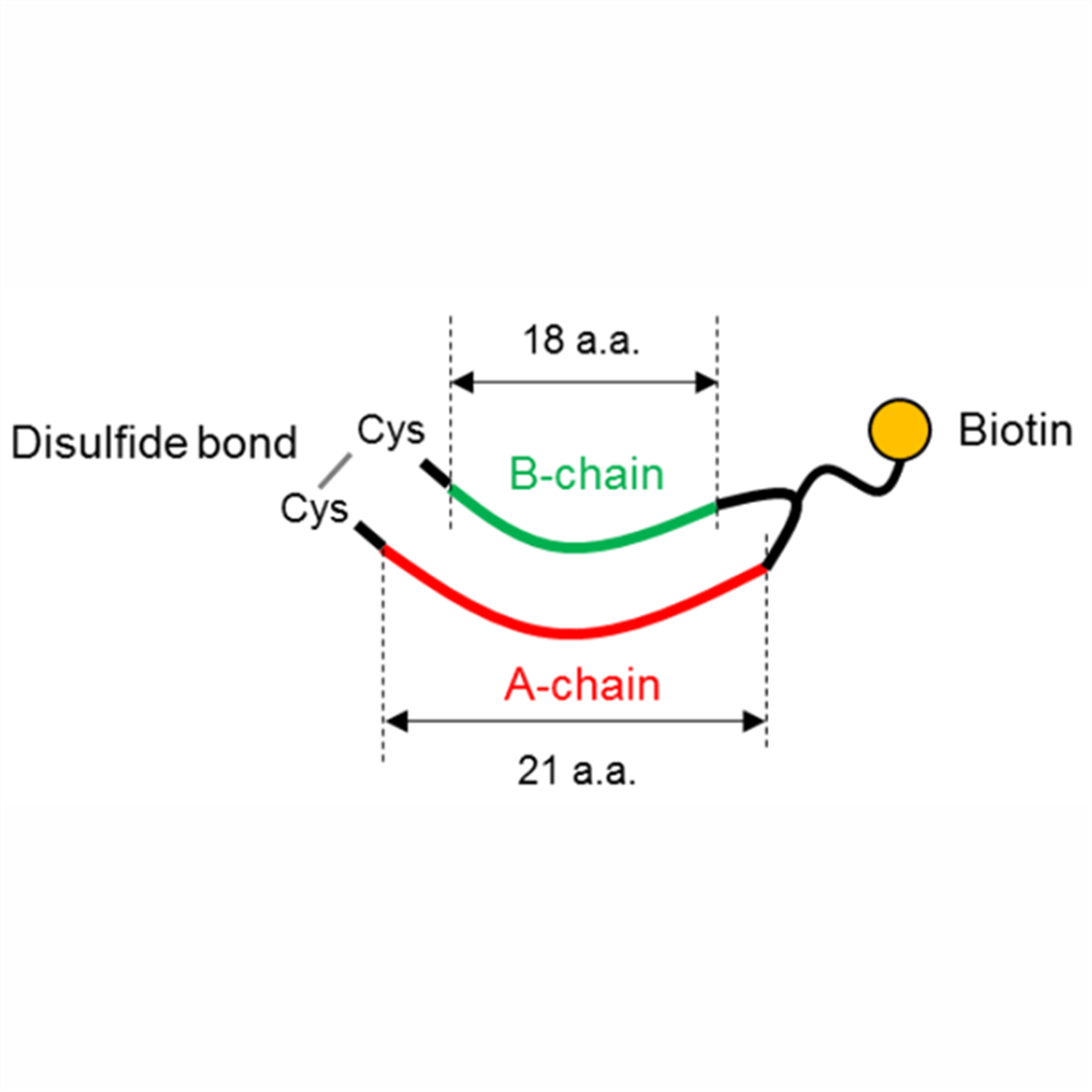 /Content/Upload/Product/Denatured_Collagen_Detection_Reagents_1200_1200.png