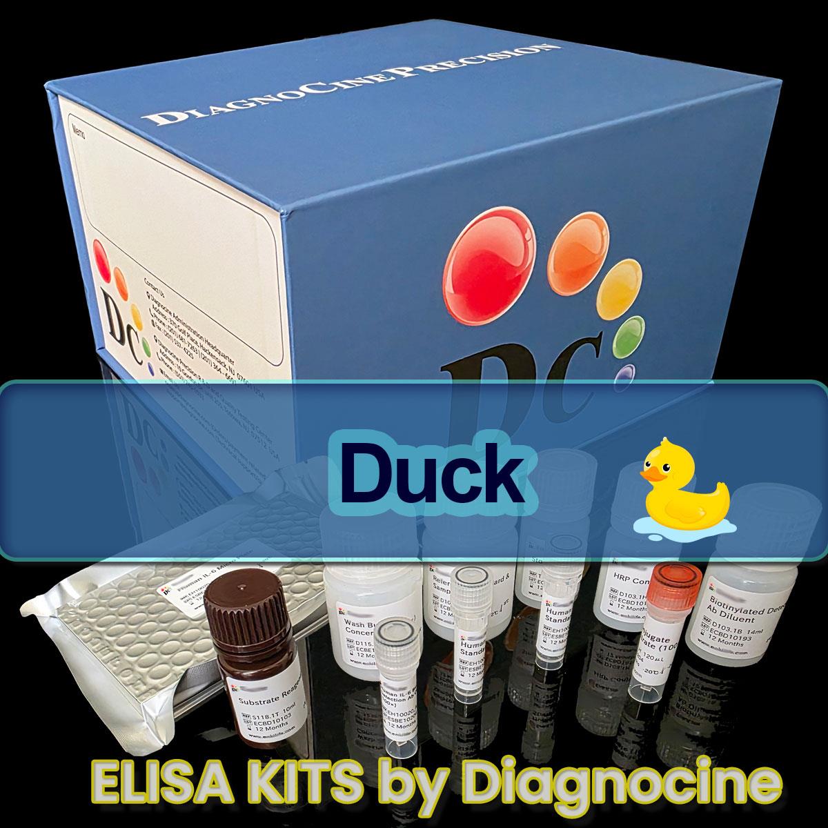 /Content/Upload/Product/Duck_ELISA_kits_Diagnocine_1200(2).jpg