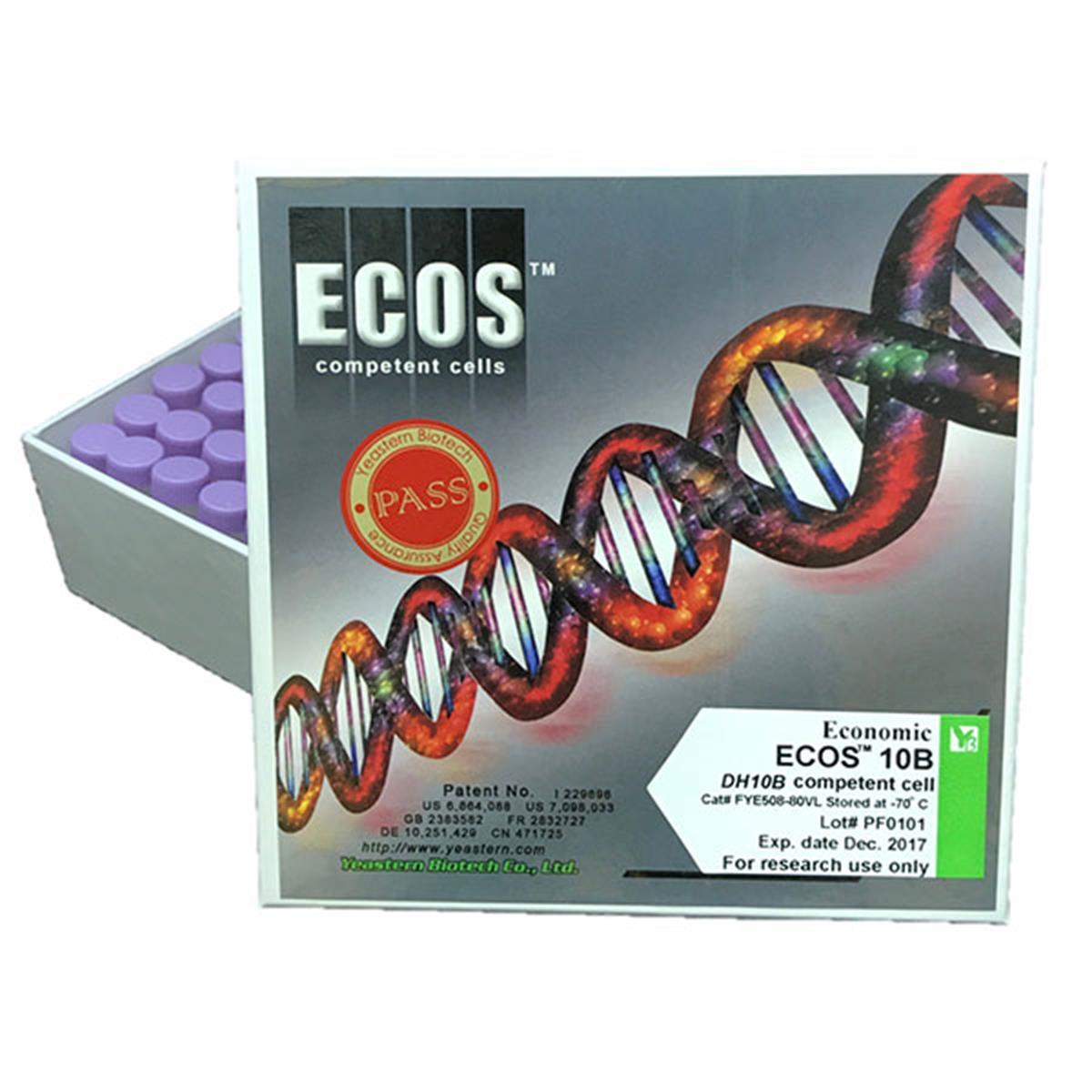 /Content/Upload/Product/ECOS-10B-Competent-Cells_DH10B_FYE508_600x600_Diagnocine_1200_1200_1.jpg