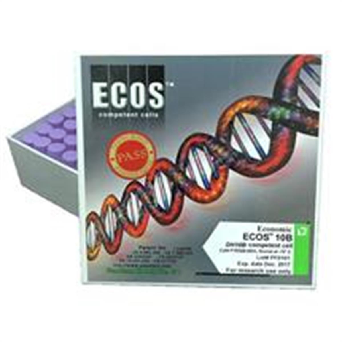 /Content/Upload/Product/ECOS-10B-Competent-Cells_DH10B_FYE508_600x600_Diagnocine_1200_215_1200.jpg