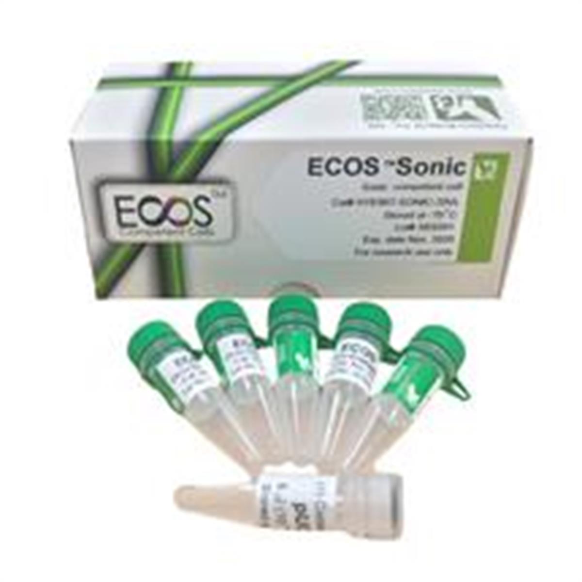 /Content/Upload/Product/ECOS-Sonic-Competent-Cells_BL21_DE3_Derived_YB-HYE007-Sonic_600x600_Diagnocine_1200_215_1_1200.jpg