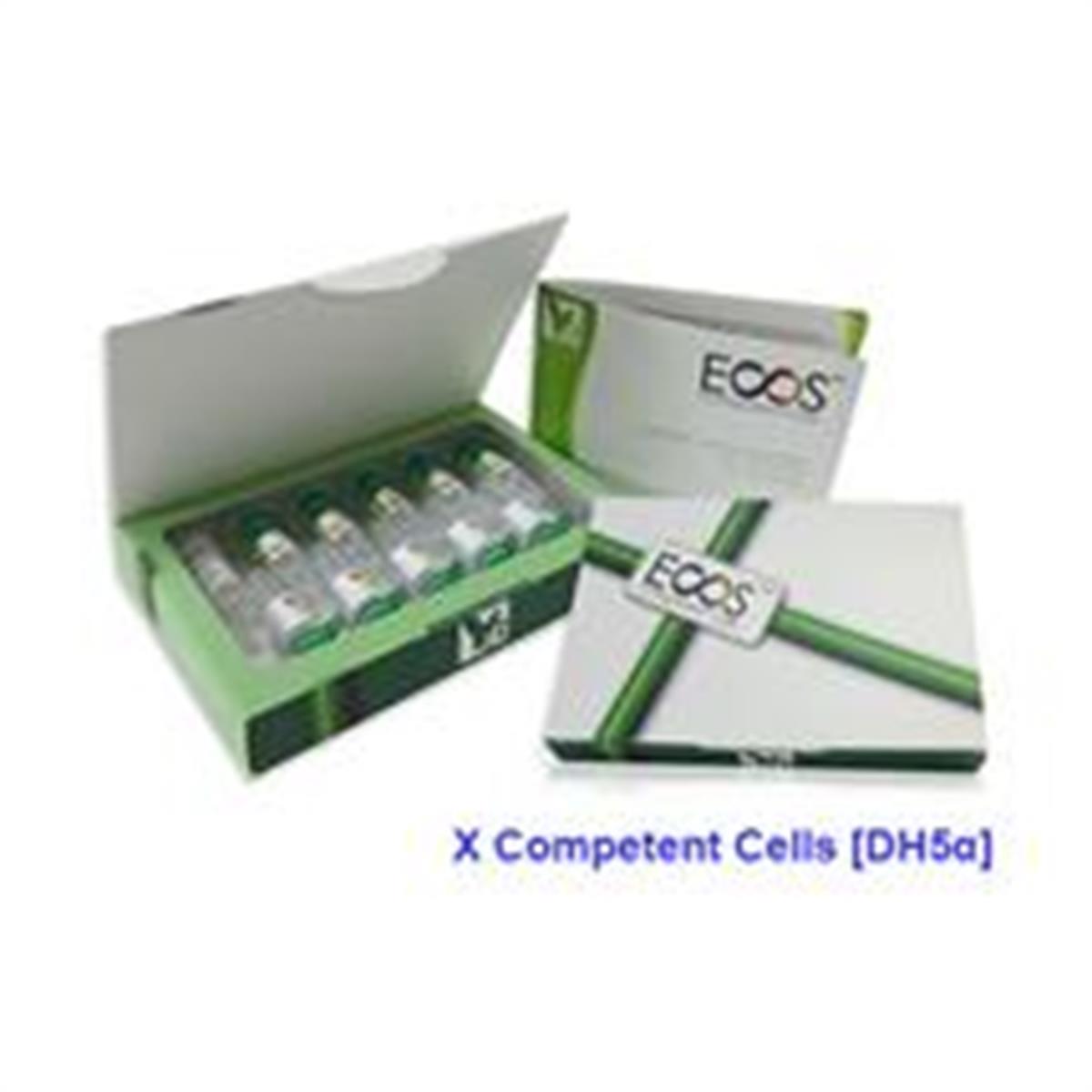 /Content/Upload/Product/ECOS_FYE610_X-Competent-Cells_DH5α_10VL_600x600_Diagnocine_1200_215_1_1200.jpg
