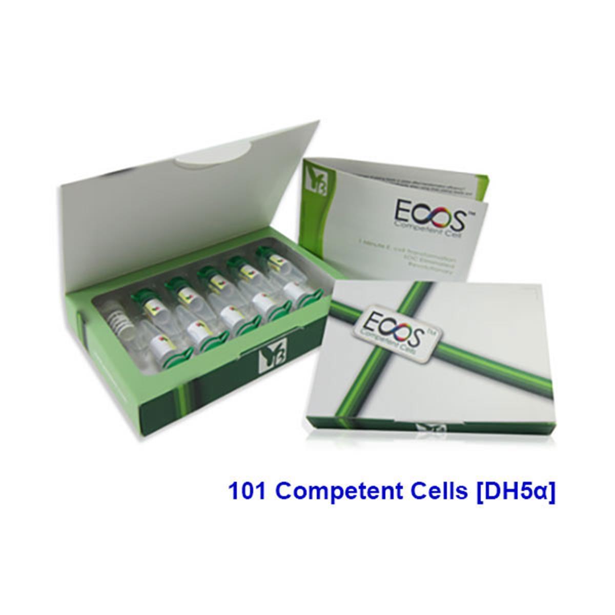 /Content/Upload/Product/ECOS_FyE607_101-Competent-Cells_10VL_600x600_Diagnocine_1200_1200_1_1200.jpg