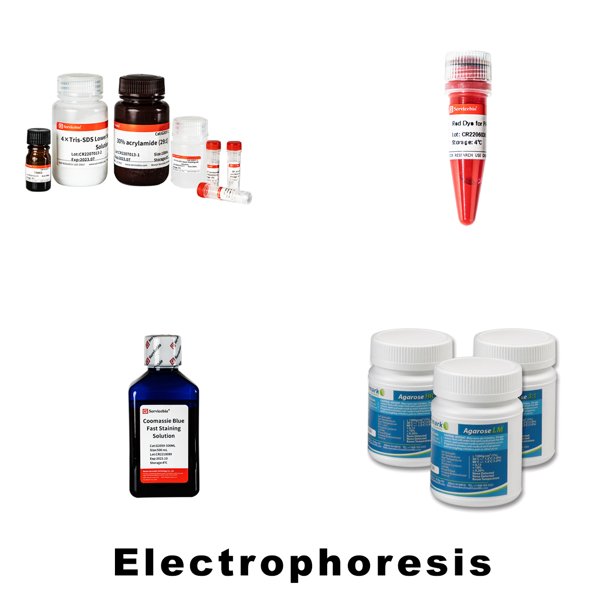 /Content/Upload/Product/Electrophoresis_1200.png
