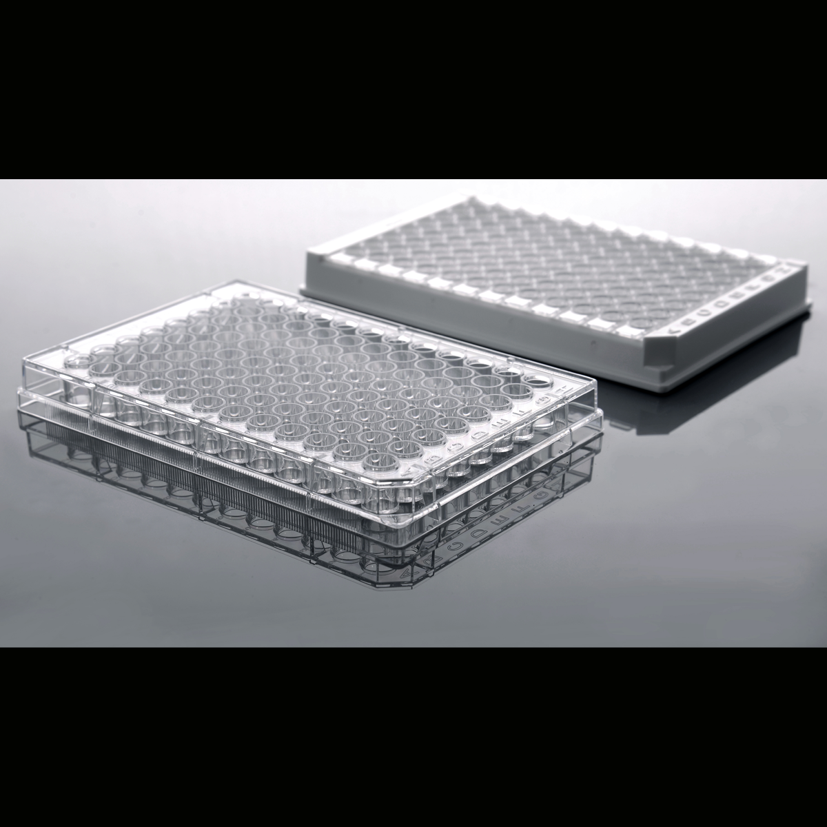 /Content/Upload/Product/Elisa_plates-1_1200_1200.png