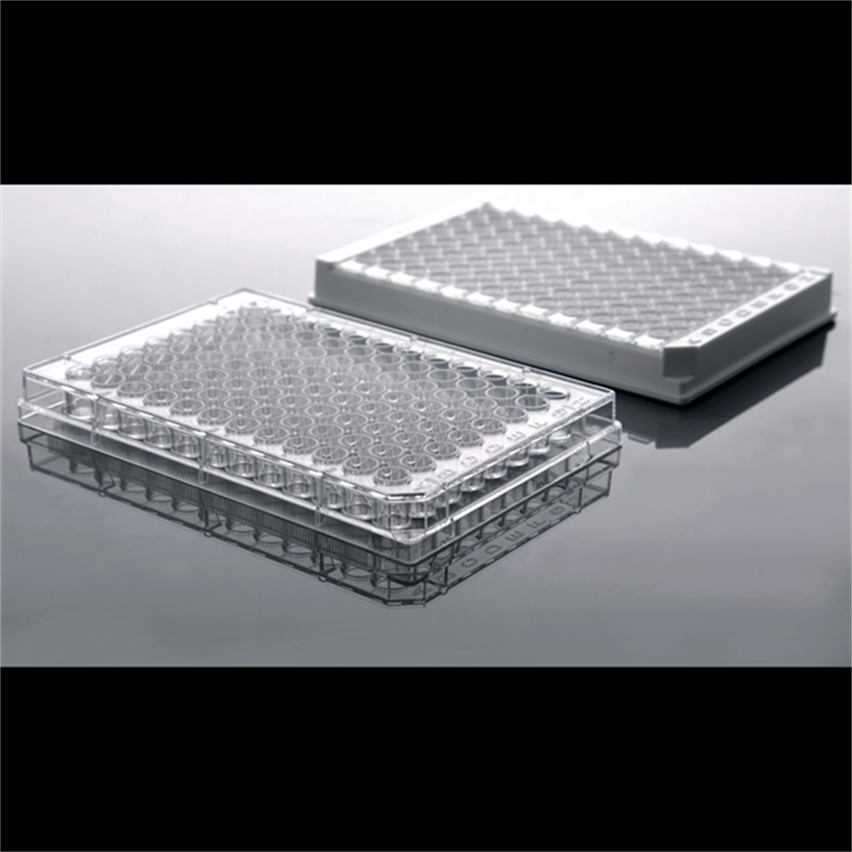 /Content/Upload/Product/Elisa_plates-1_1200_600_1200.png