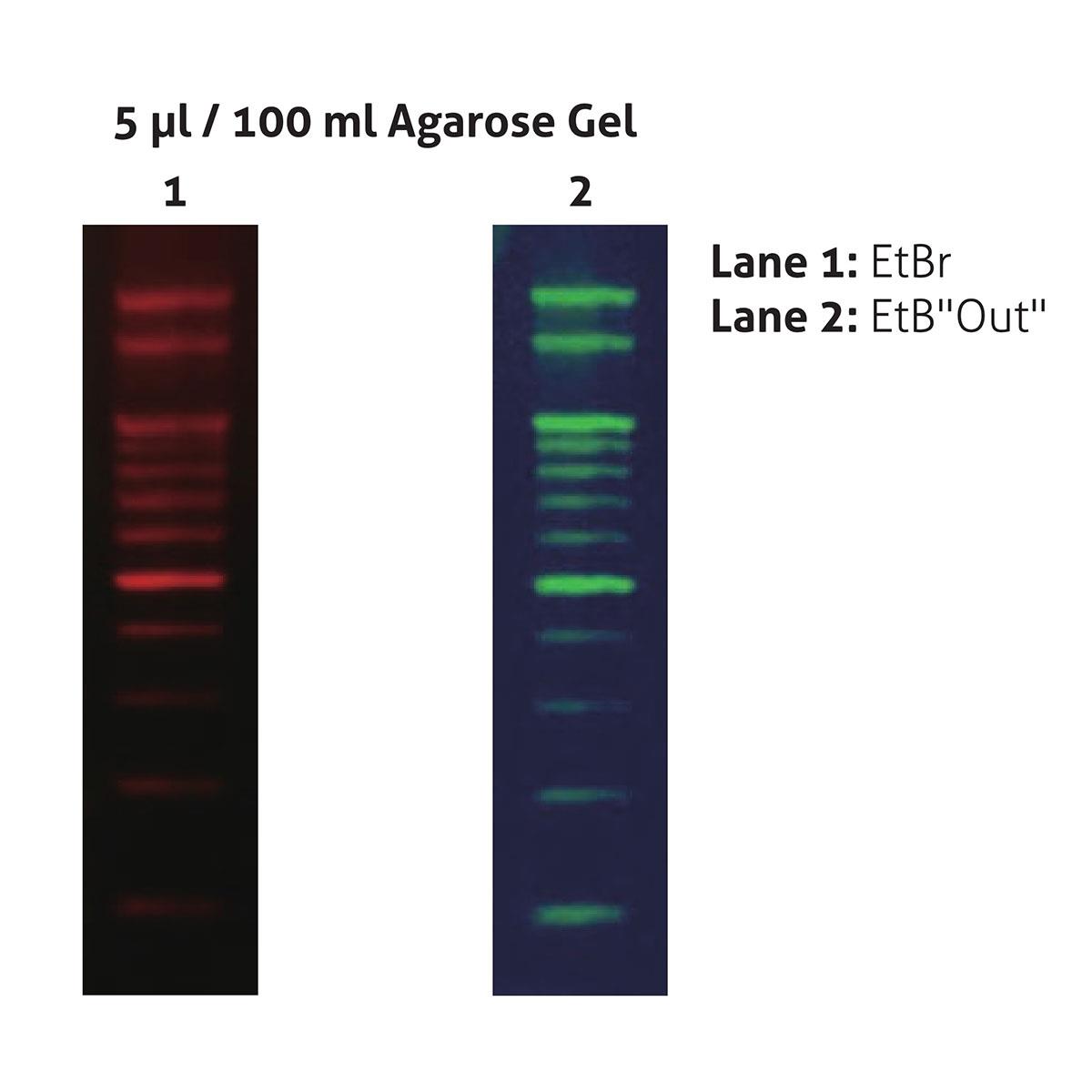 /Content/Upload/Product/EtBOut-Nucleic-Acid-Staining-Solution_FYD010-200P_W1200_Diagnocine_1200.jpg