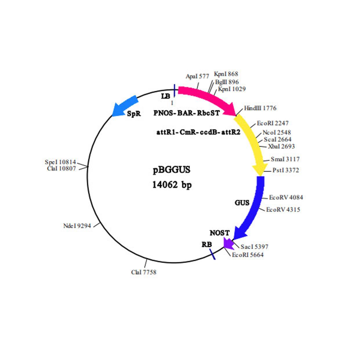 /Content/Upload/Product/FNK-IN3-VEC16_Main_w600_Diagnocine_1200.jpg