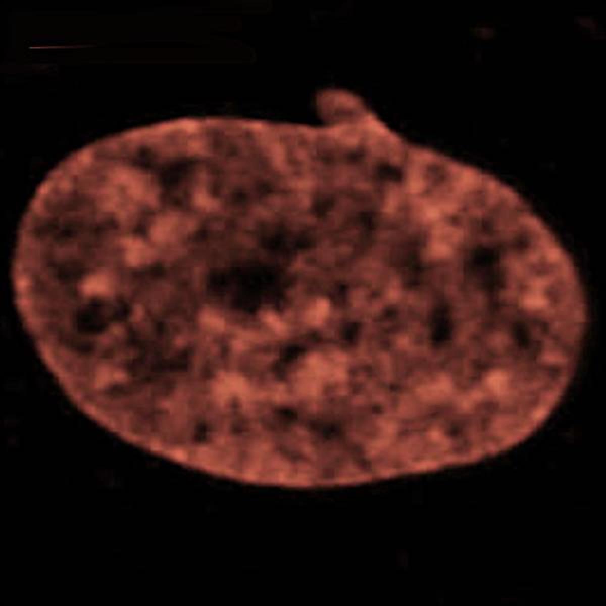 /Content/Upload/Product/Flamma675Vinylsulfone_diagnocine_1200.jpg