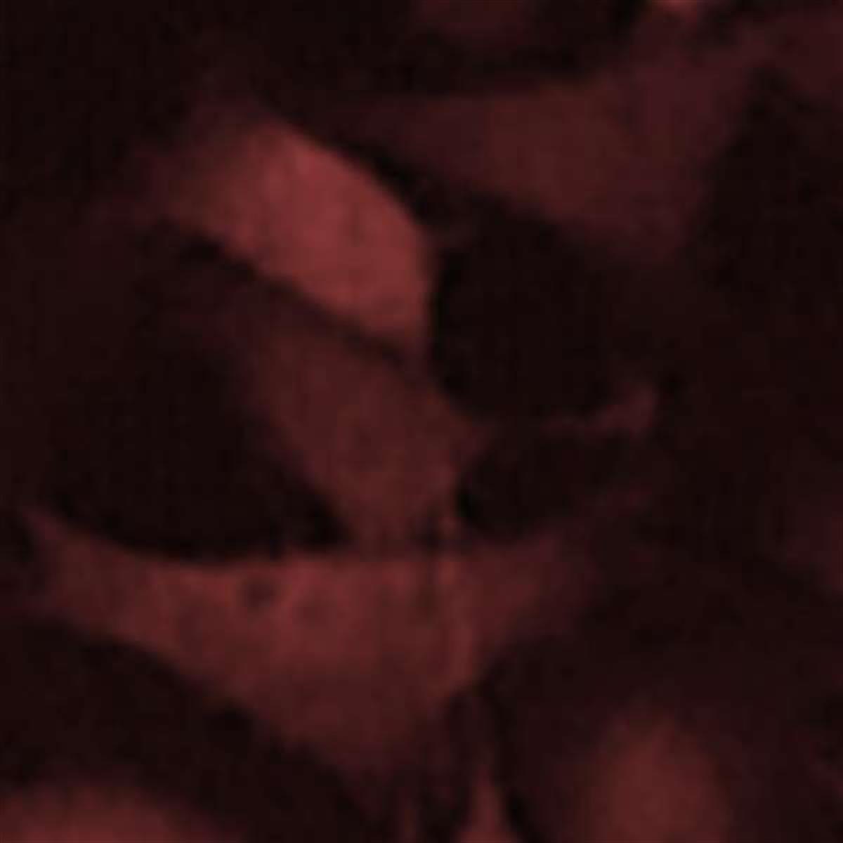 /Content/Upload/Product/Flamma749Azide_1200.jpg