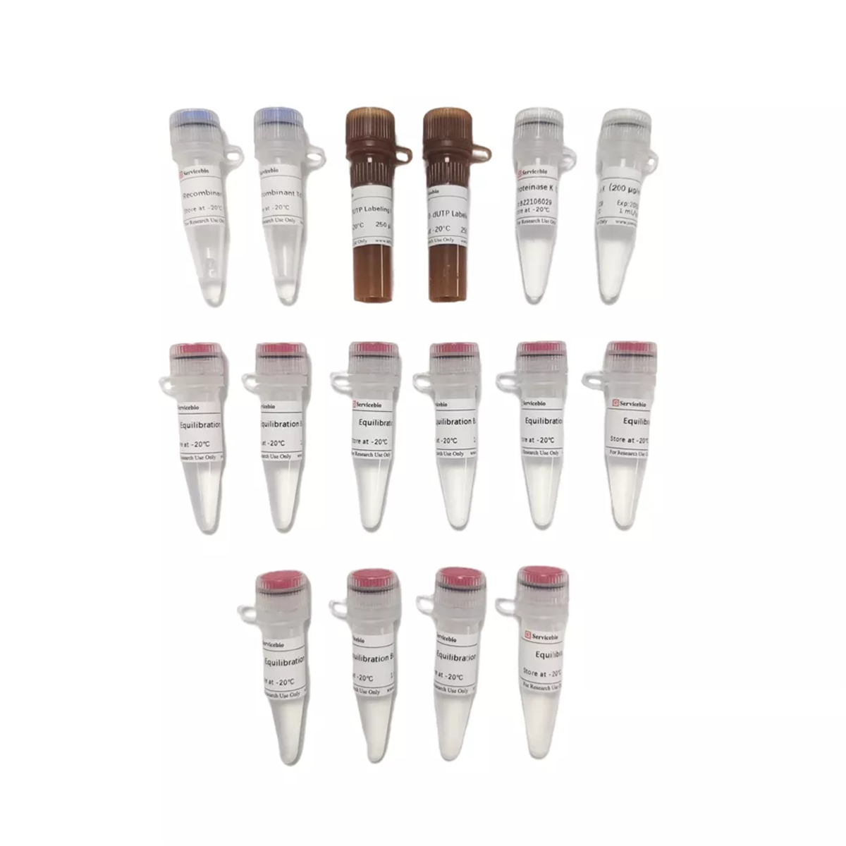 /Content/Upload/Product/G1505-100T_1200.png