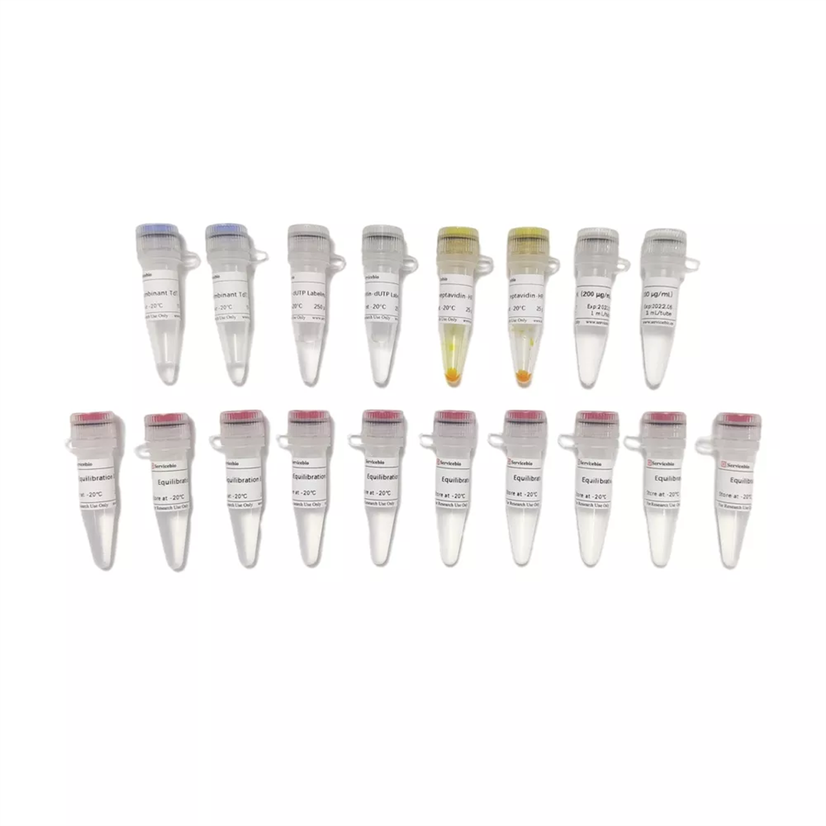 /Content/Upload/Product/G1507-100T_1200_1200.png