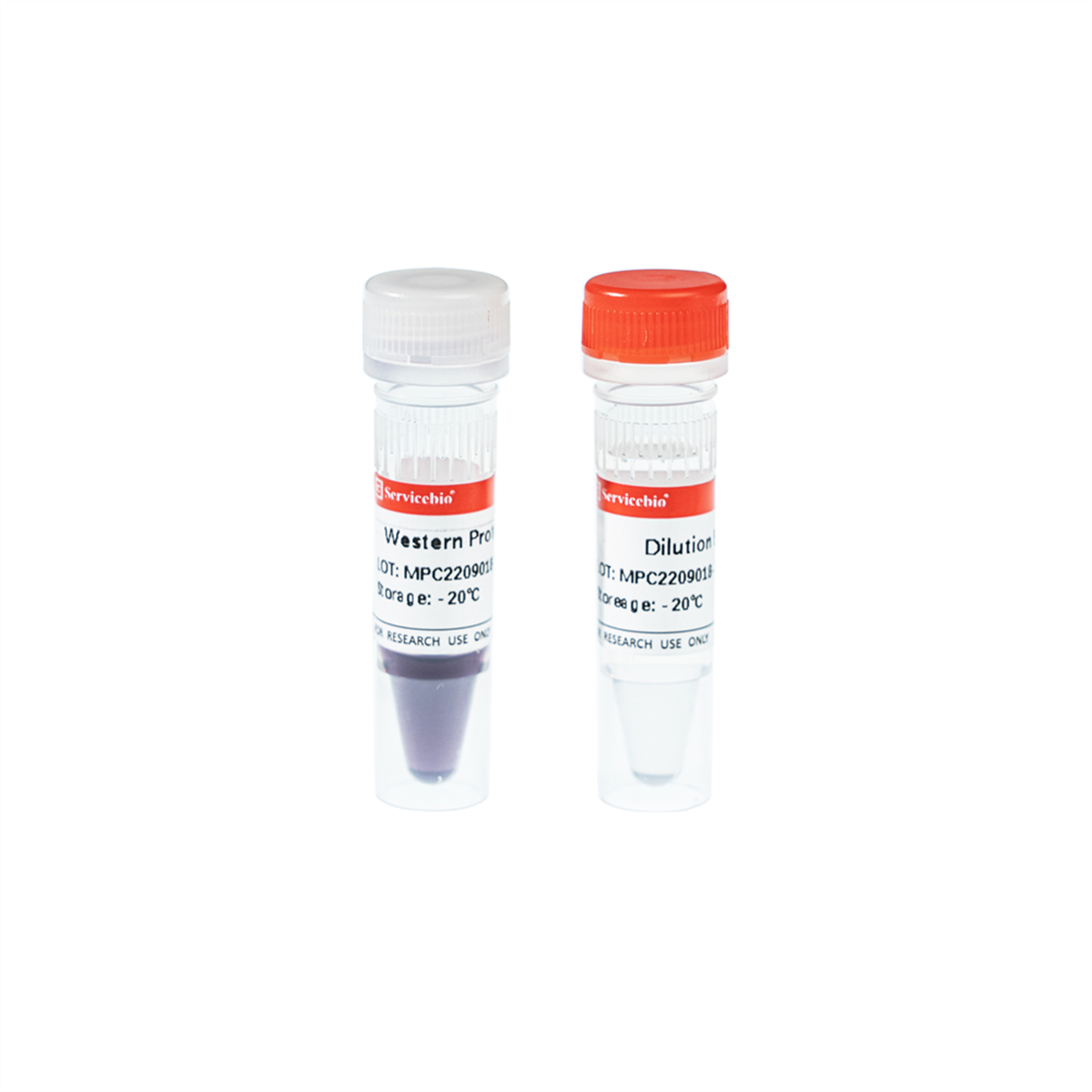 /Content/Upload/Product/G2086-250UL-1_1200.png