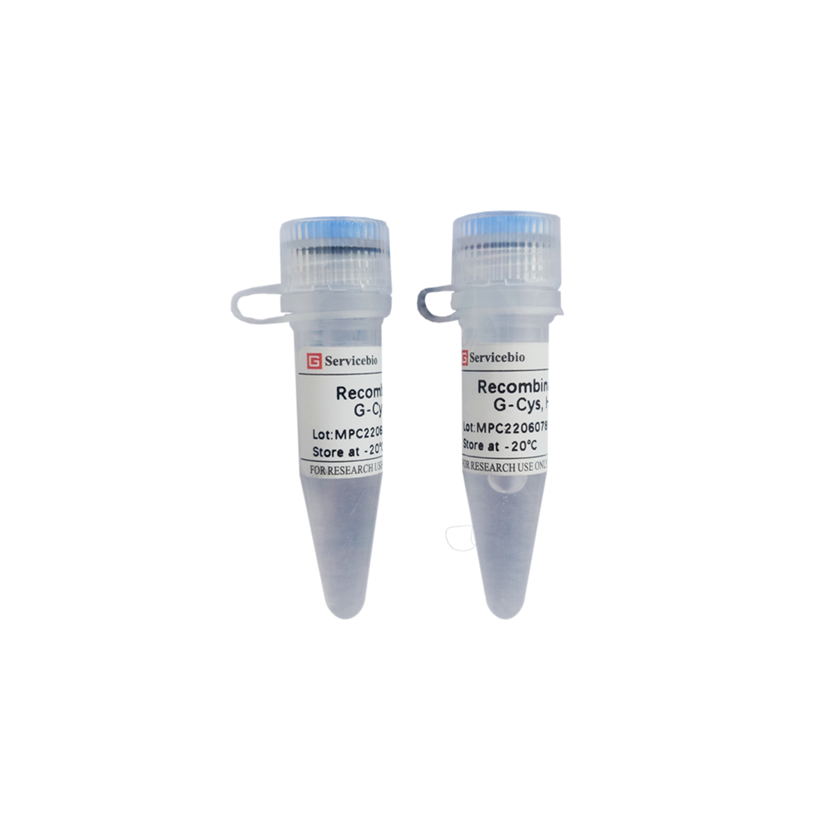 /Content/Upload/Product/G3474-10MG_1200.png