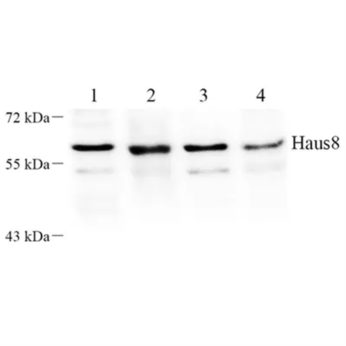/Content/Upload/Product/GB112393-1_1200.png